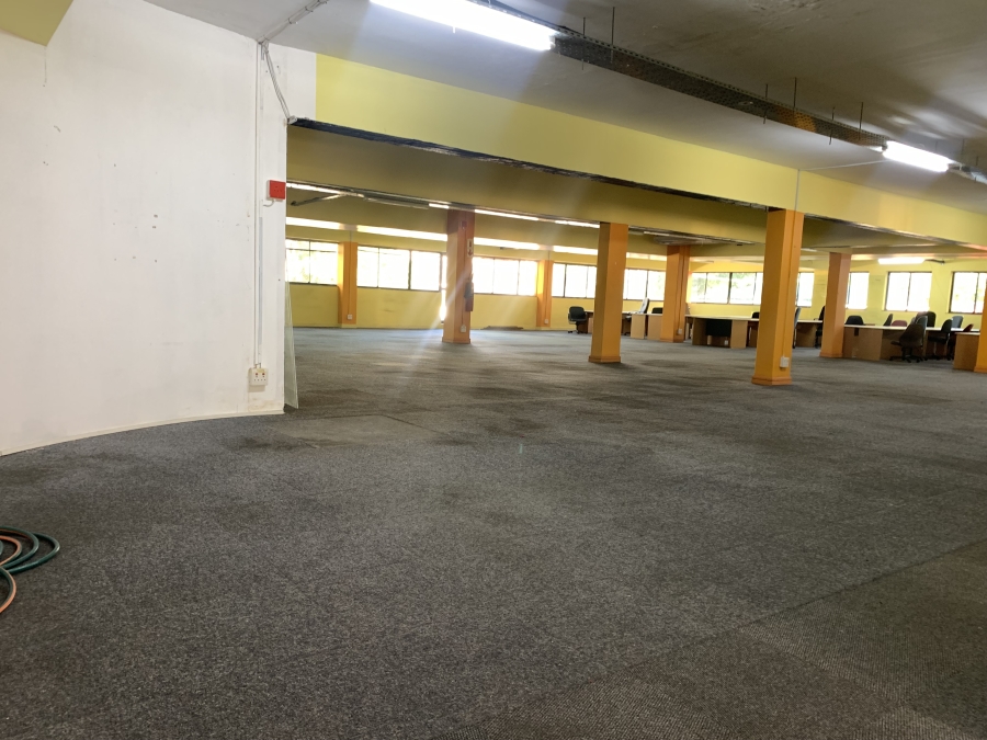 To Let commercial Property for Rent in Rondebosch Western Cape